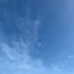 Le Paradis De La Marina